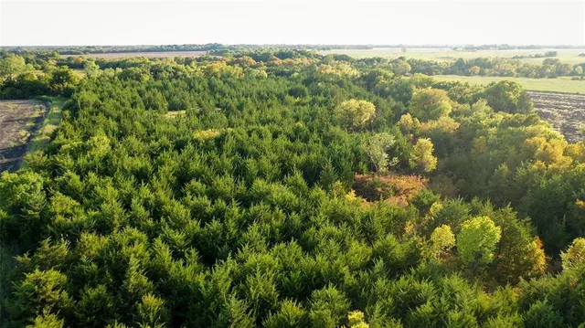 a view of a field with an ocean view
