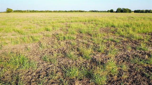 a view of a lake from a yard