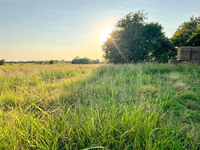 a view of a lake from a yard