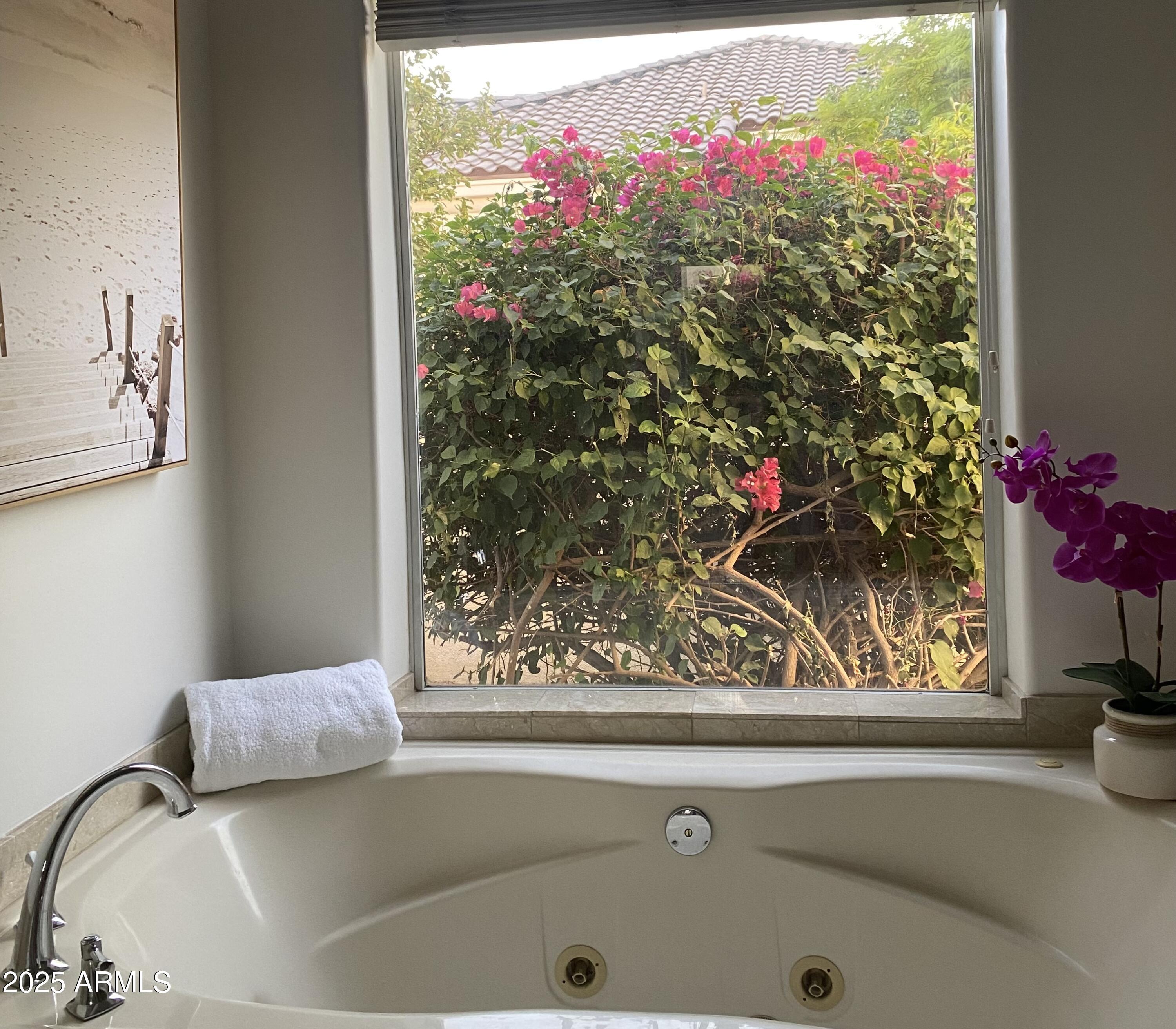 4551 East Cochise Road Phoenix, AZ 85028 - Photo 26 of 43 a view of a window in a room