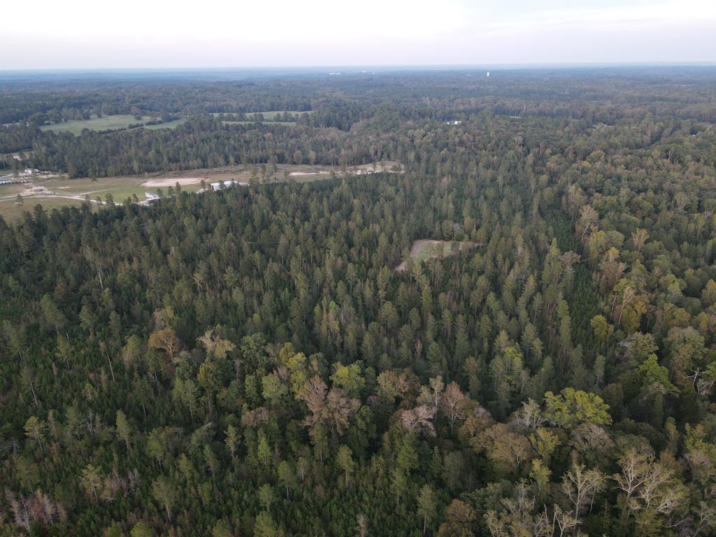 0 Blue Jay Road Hodges, SC 29653 - Photo 13 of 28 Gallery Image 13