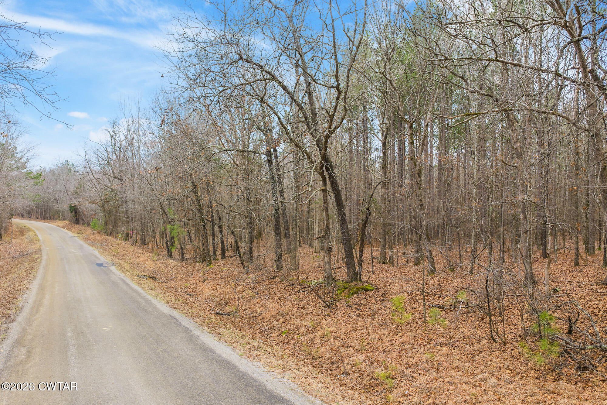 0 Coxburg Road South Holladay, TN 38341 - Photo 15 of 16 a view of a backyard of the house