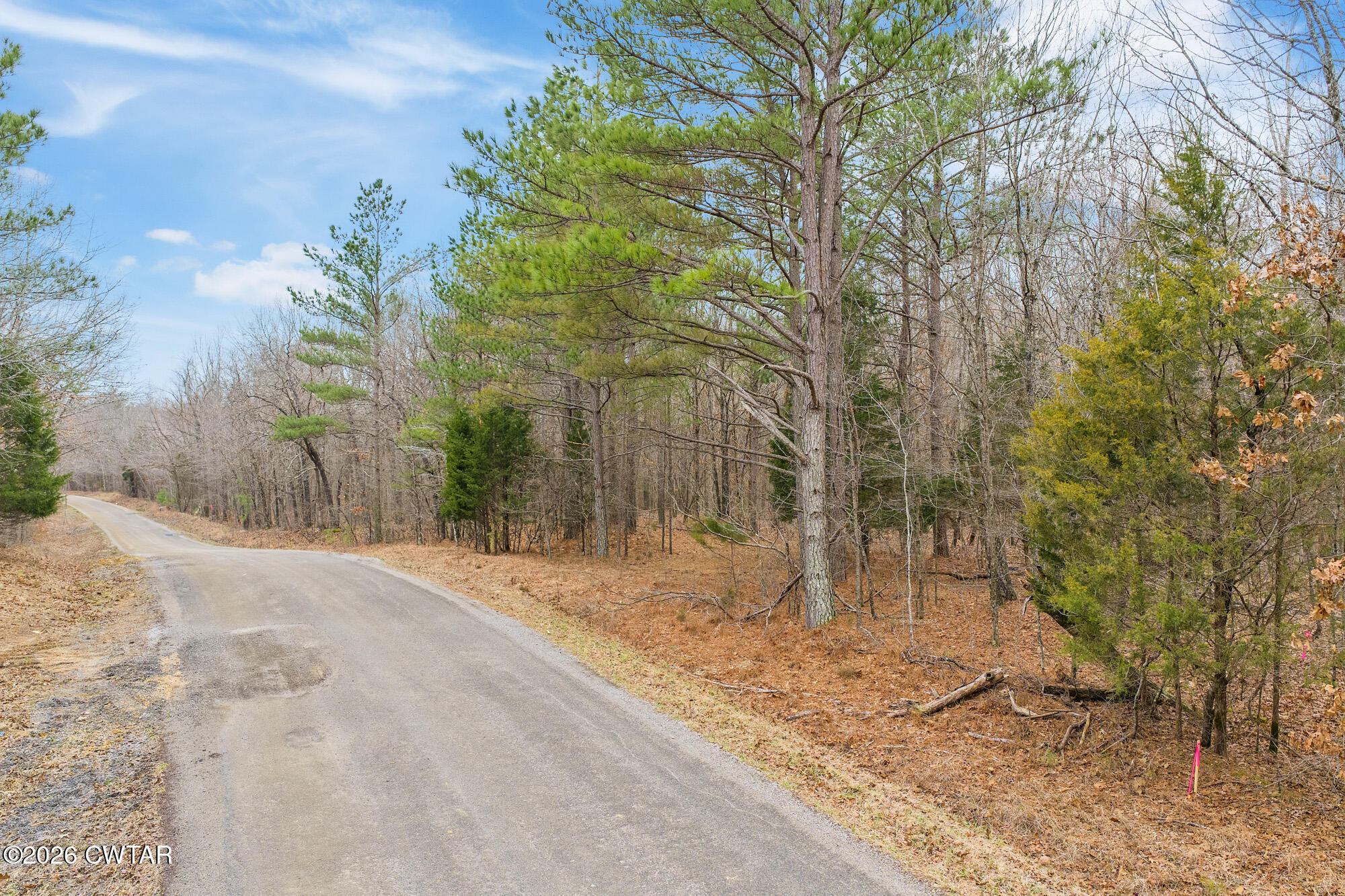 0 Coxburg Road South Holladay, TN 38341 - Photo 16 of 16 a backyard of a house with large trees