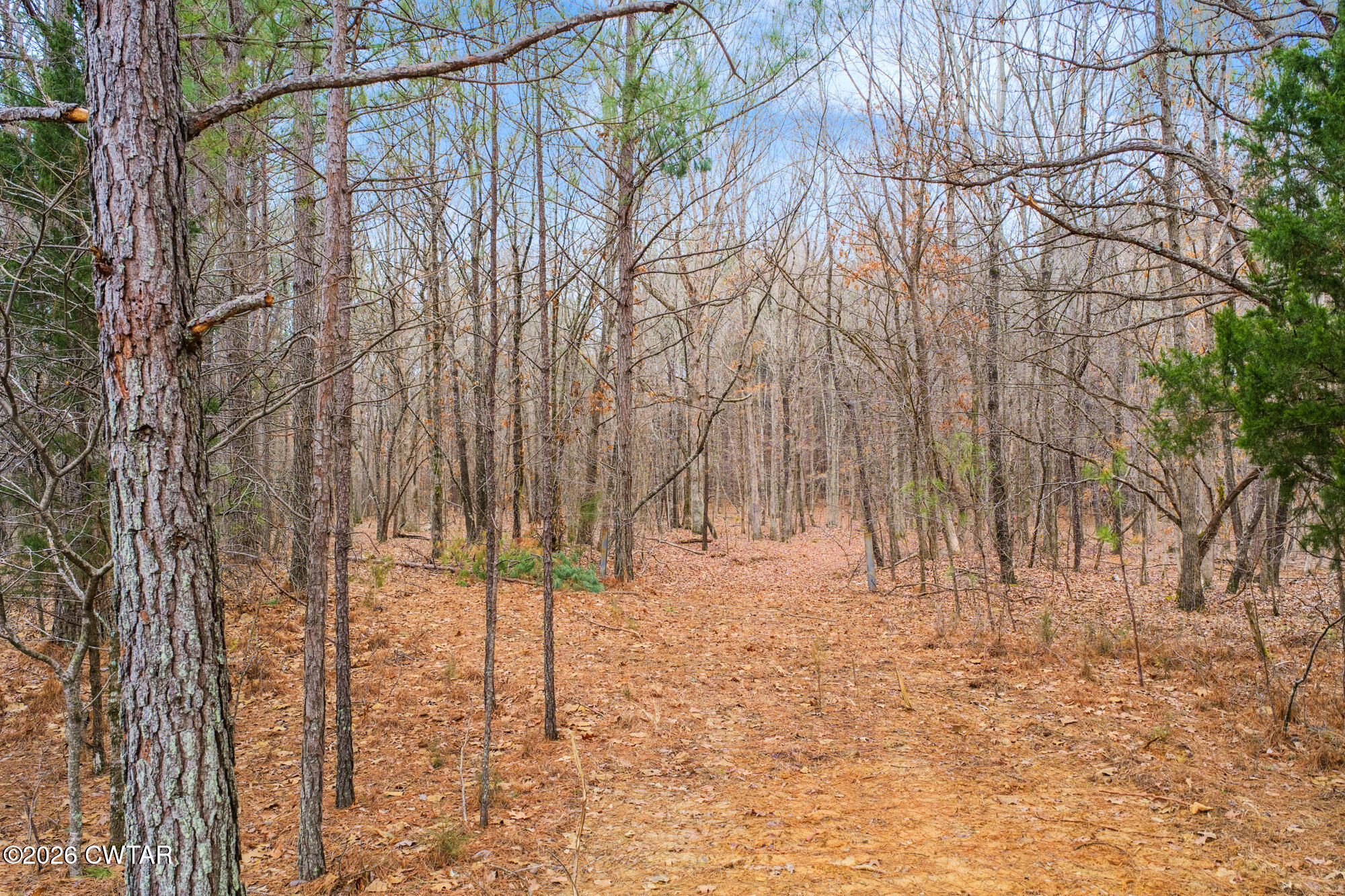 0 Coxburg Road South Holladay, TN 38341 - Photo 3 of 16 a view of covered with snow