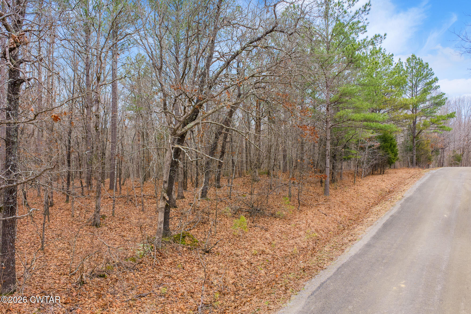 0 Coxburg Road South Holladay, TN 38341 - Photo 4 of 16 a backyard of a house with lots of green space