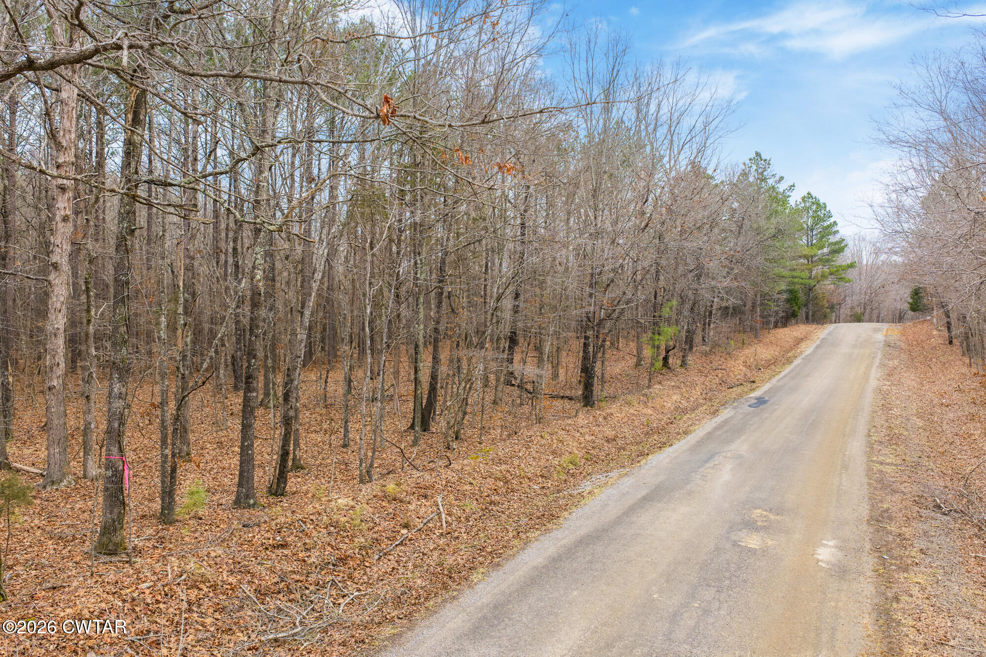 0 Coxburg Road South Holladay, TN 38341 - Photo 5 of 16 a view of a backyard of the house