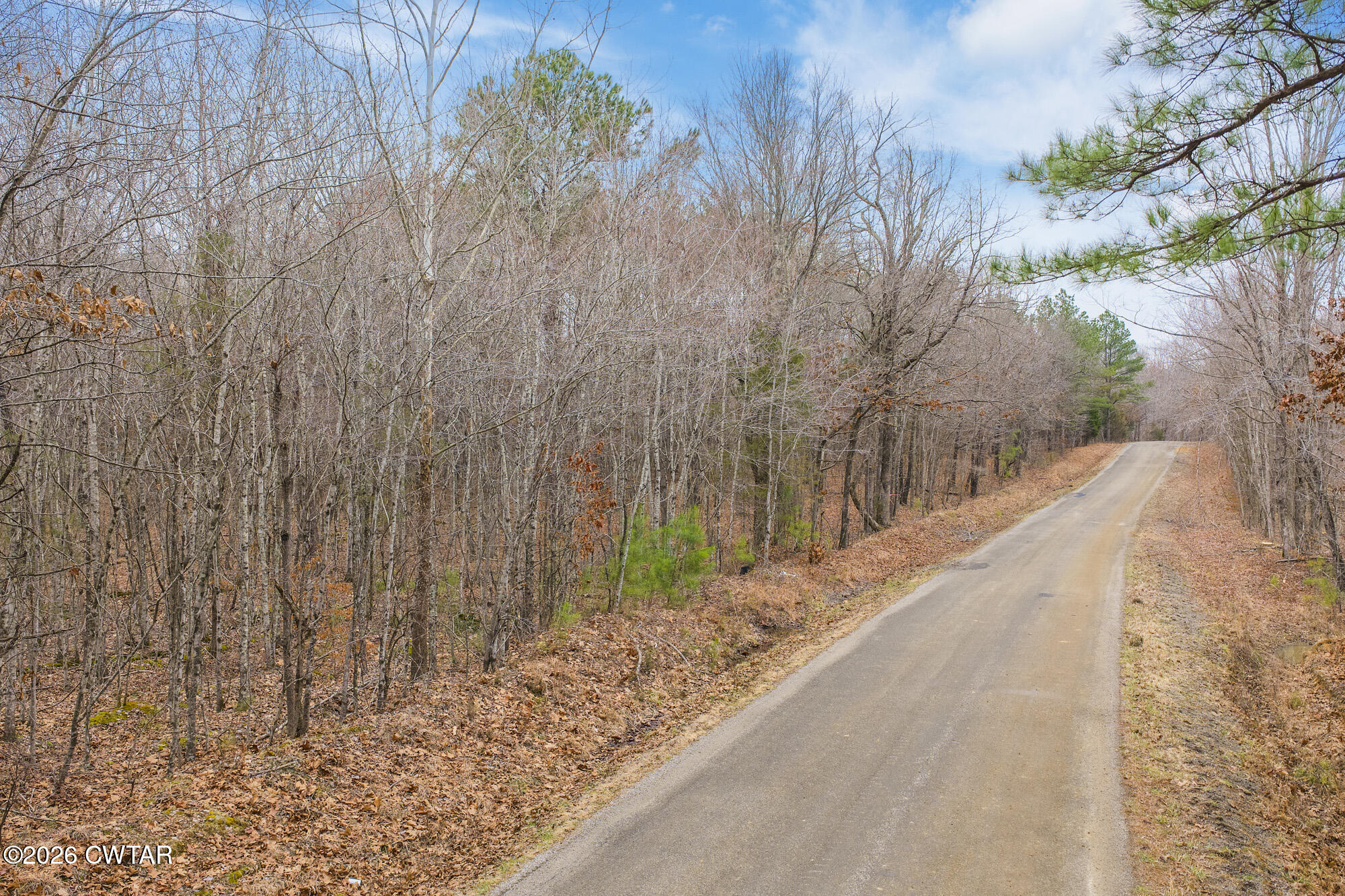 0 Coxburg Road South Holladay, TN 38341 - Photo 6 of 16 a view of a backyard
