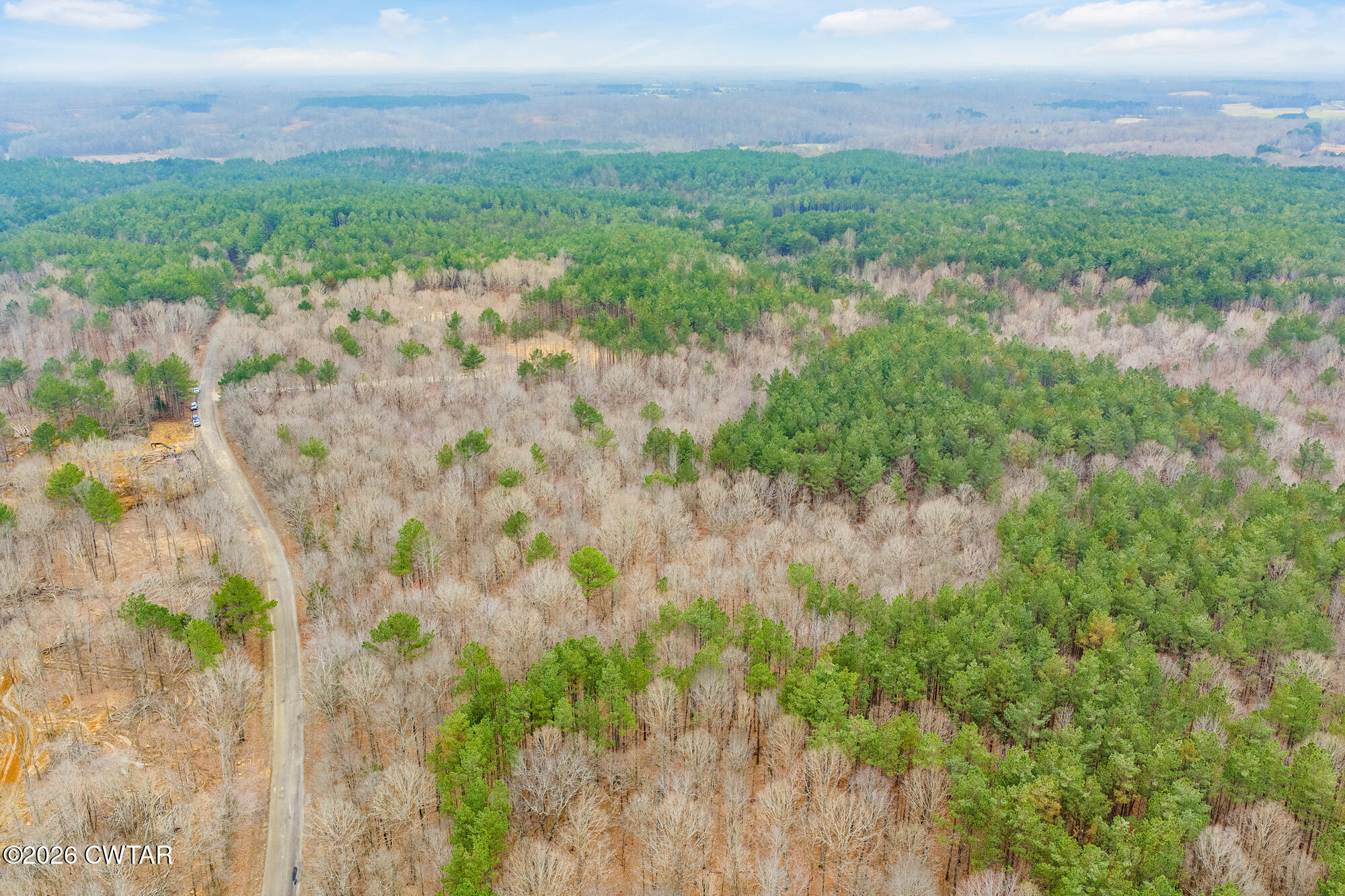 0 Coxburg Road South Holladay, TN 38341 - Photo 8 of 16 a view of a field of grass and trees