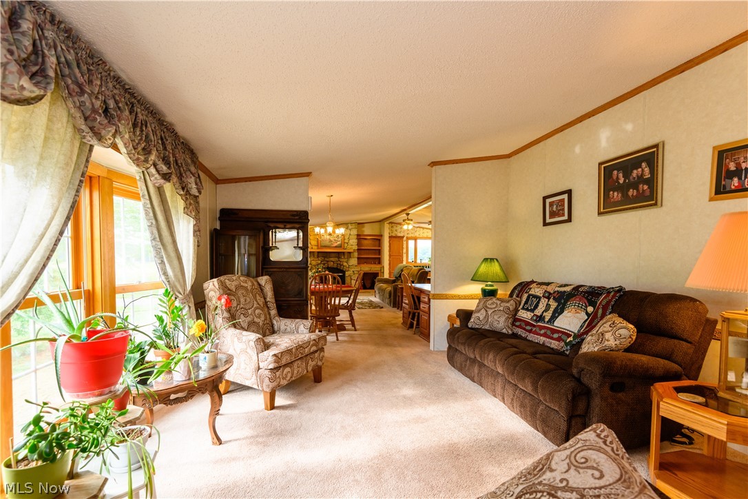 10747 Jones Road Litchfield, OH 44253 - Photo 10 of 31 Gallery Image 10