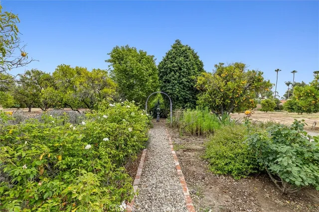 a view of outdoor space and garden