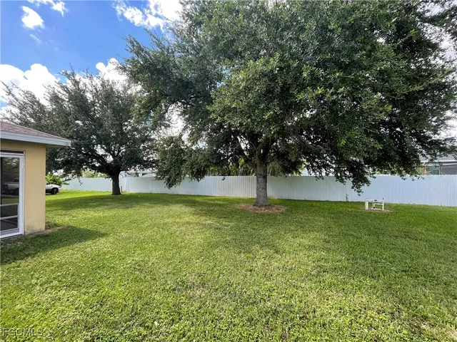a view of a tree in a yard