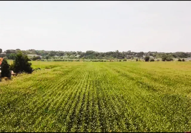 a view of an ocean from a balcony