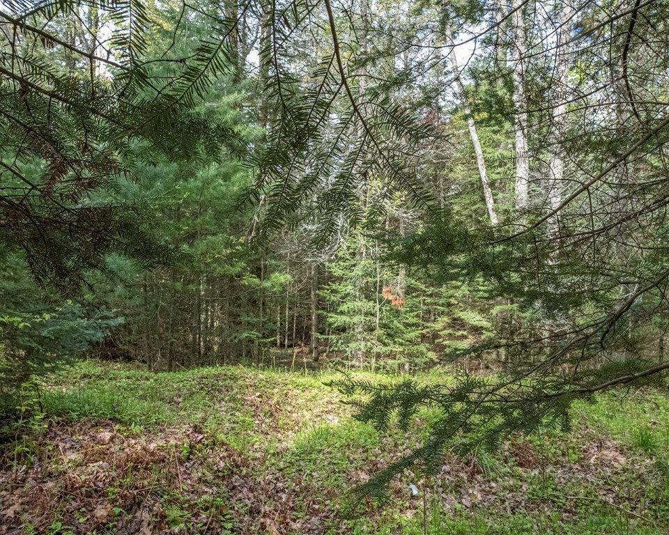 8 Blue Island Road, Unit PARCEL Woodruff, WI 54568 - Photo 12 of 22 Gallery Image 12