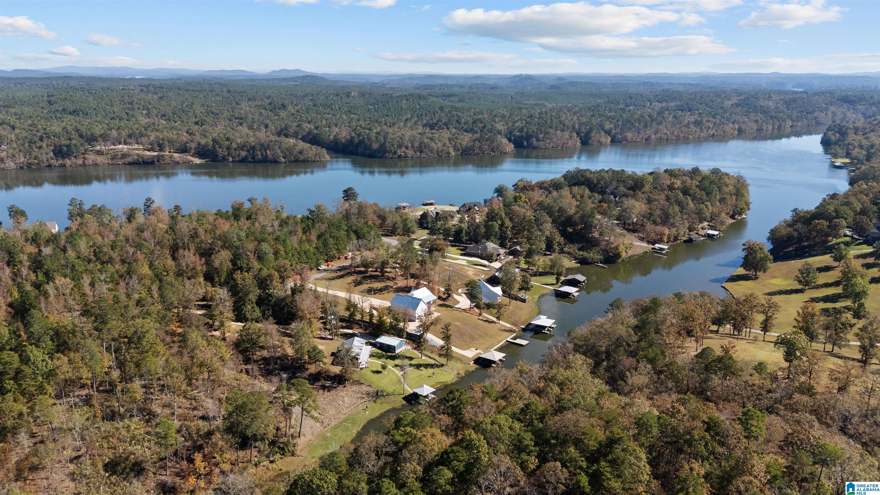 730 County Road 730 Clanton, AL 35046 - Photo 50 of 54