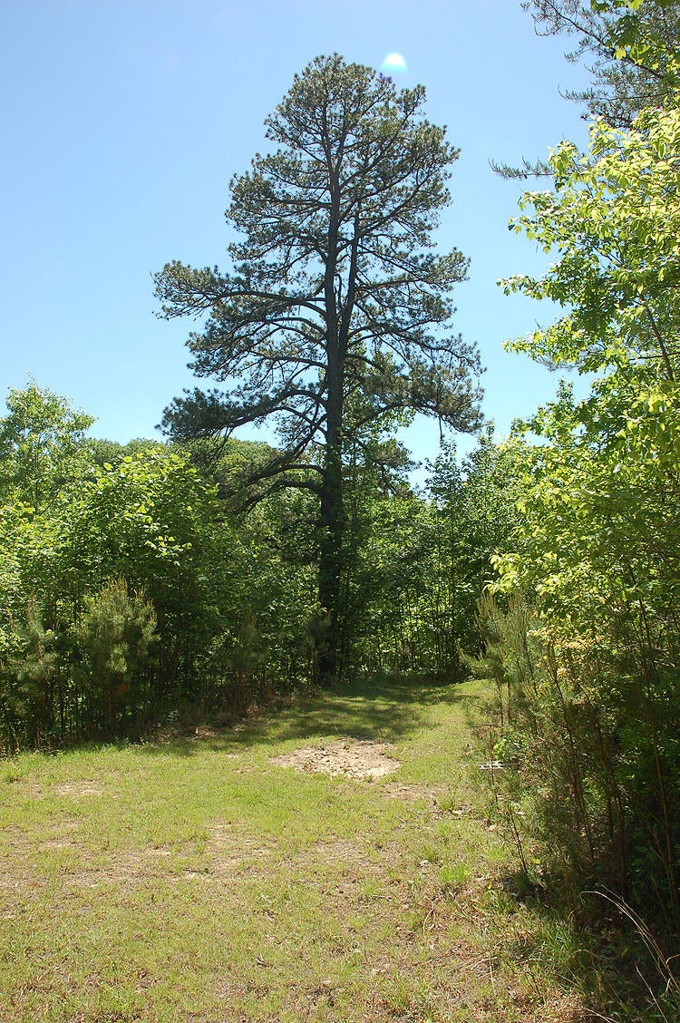 1541 Green Valley Road Peterstown, WV 24963 - Photo 11 of 30 Gallery Image 11