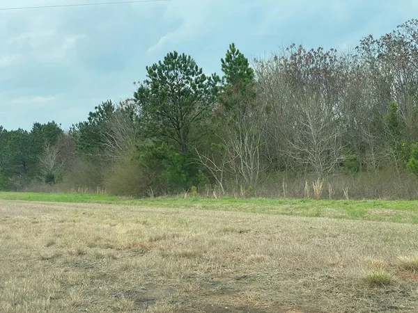 a view of outdoor space with trees all around