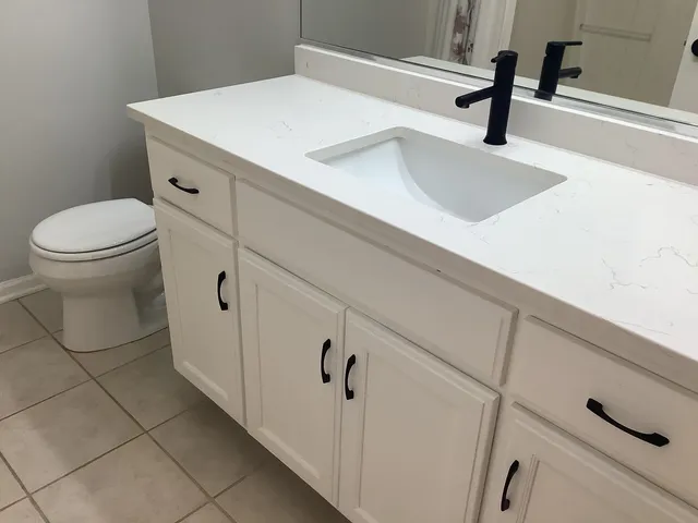 a bathroom with a sink and a toilet