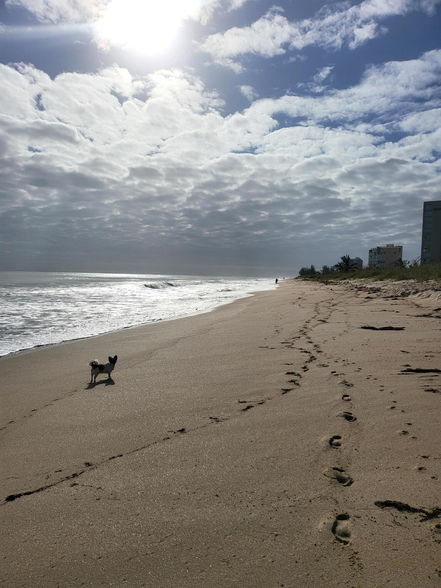 3870 North Hwy A1A, Unit 1011 Hutchinson Island, FL 34949 - Photo 30 of 30 a view of beach and ocean