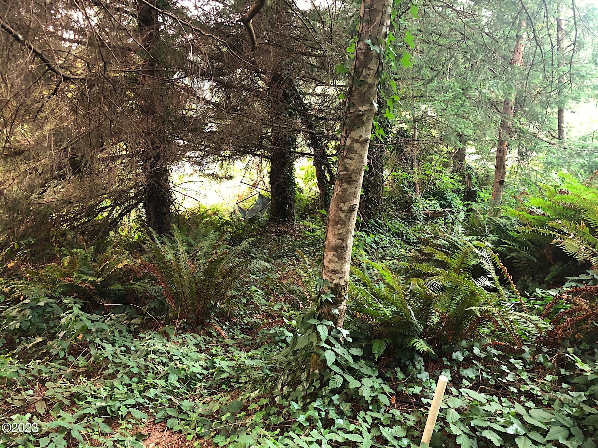 700 Northeast East Line Road Yachats, OR 97498 - Photo 5 of 7 IMG_2133