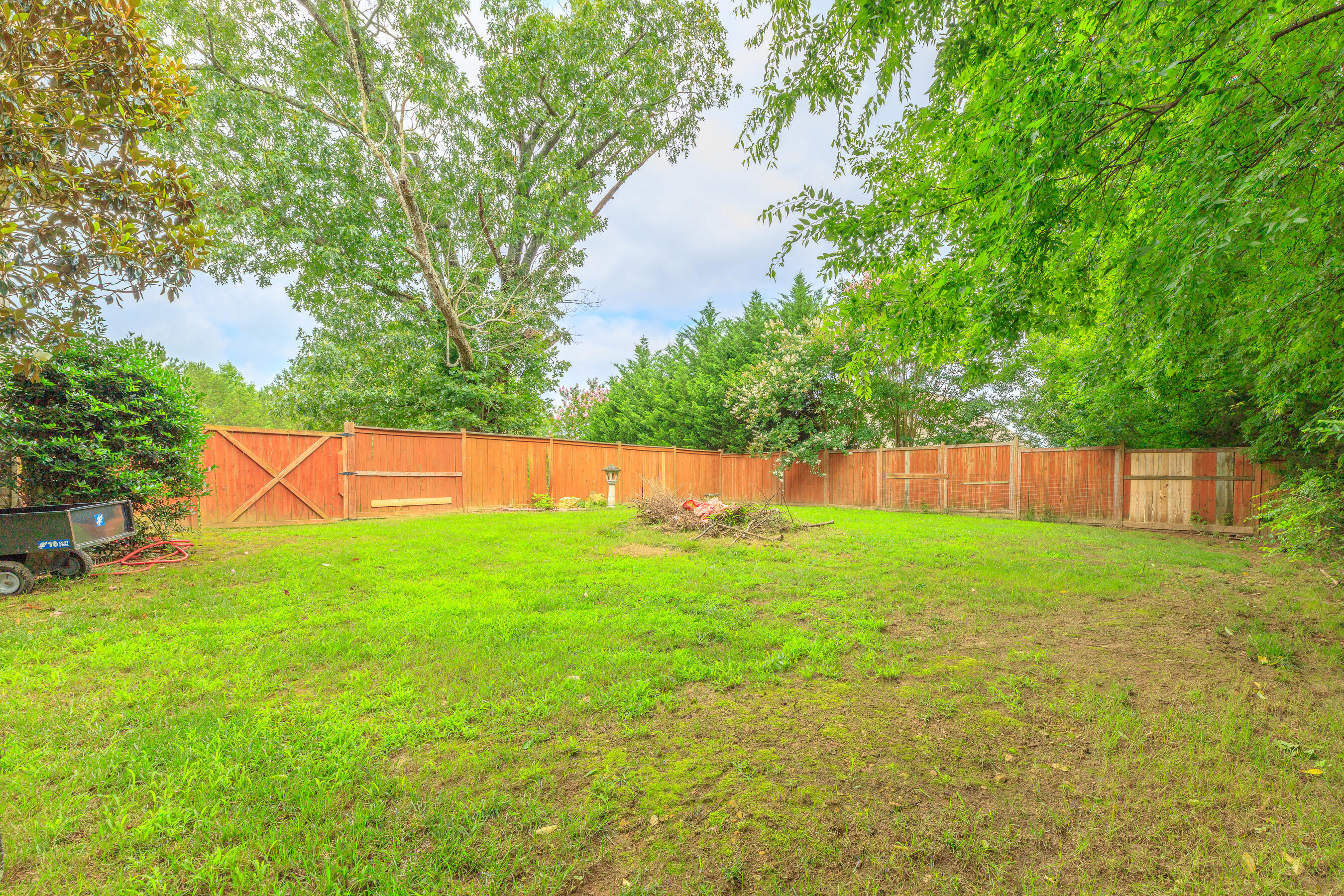 199 Falcons View Drive Ringgold, GA 30736 - Photo 50 of 54 199 Falcons View HD-19