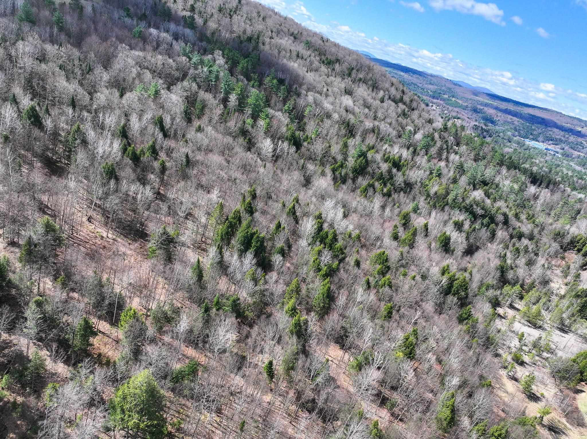 0 Sugar House Road St. Johnsbury, VT 05819 - Photo 2 of 5