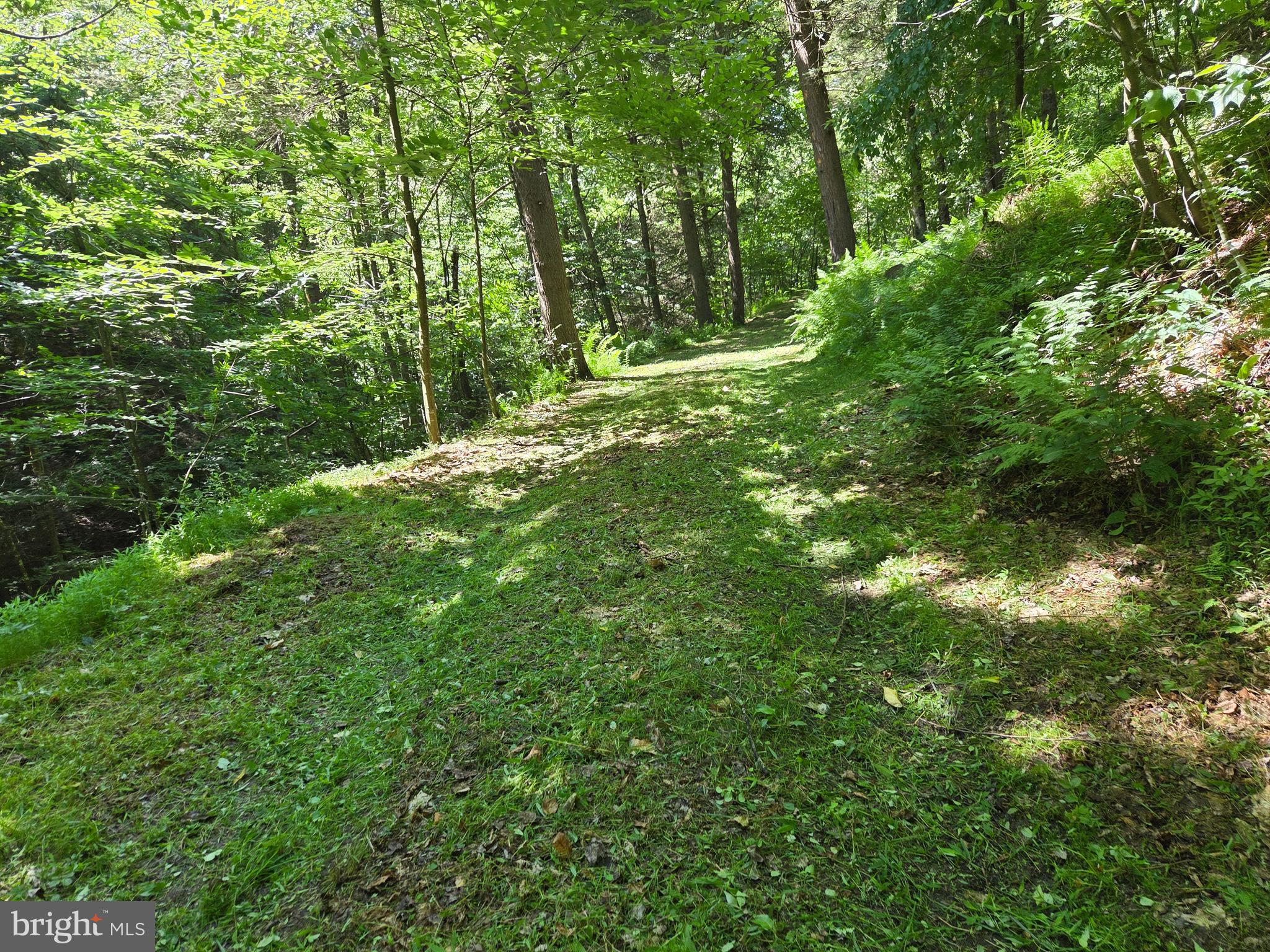 0 Carlisle Gap Road Lewistown, PA 17044 - Photo 33 of 53