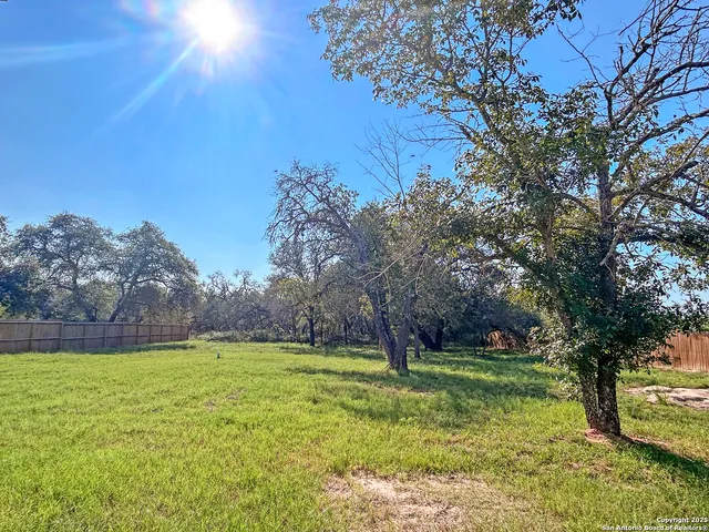 a view of a yard with a tree