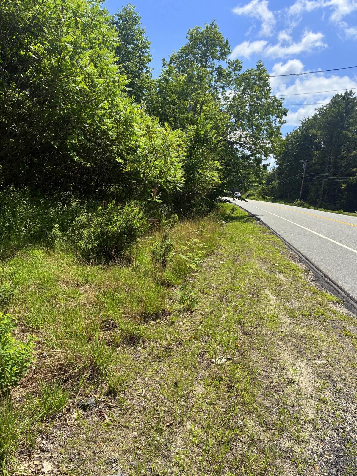 Lot 29 Auburn Road Peru, ME 04290 - Photo 2 of 3 PeruLots