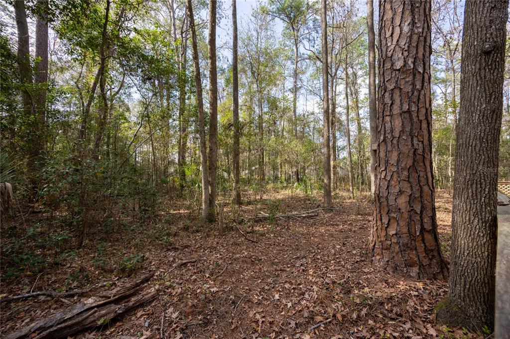 5206 Southwest 86 Terrace Gainesville, FL 32608 - Photo 28 of 37