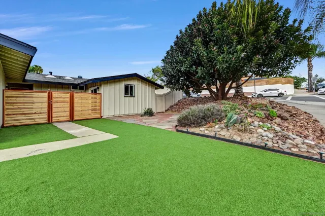 a view of a backyard with large trees