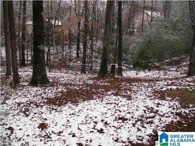 905 Woodbrook Road Birmingham, AL 35215 - Photo 5 of 31
