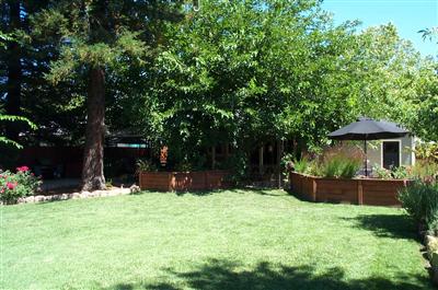 3 View Road Calistoga, CA 94515 - Photo 11 of 11 Backyard