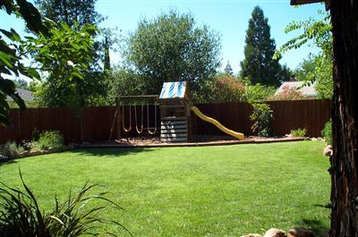 3 View Road Calistoga, CA 94515 - Photo 9 of 11 Backyard