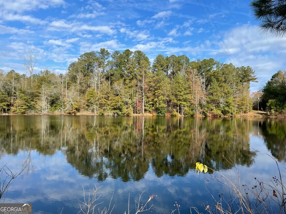 1775 Brown Road Hephzibah, GA 30815 - Photo 2 of 4 a view of lake