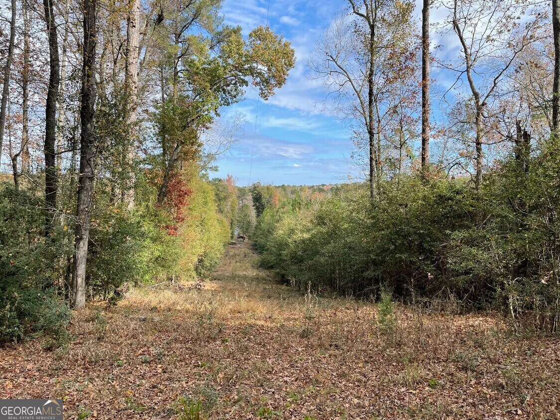 1775 Brown Road Hephzibah, GA 30815 - Photo 3 of 4 a view of a yard with trees