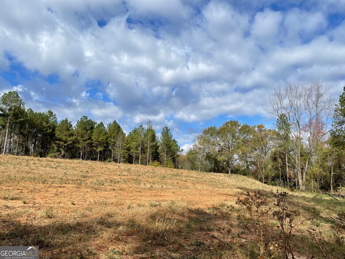 1775 Brown Road Hephzibah, GA 30815 - Photo 4 of 4 a view of a yard with a house