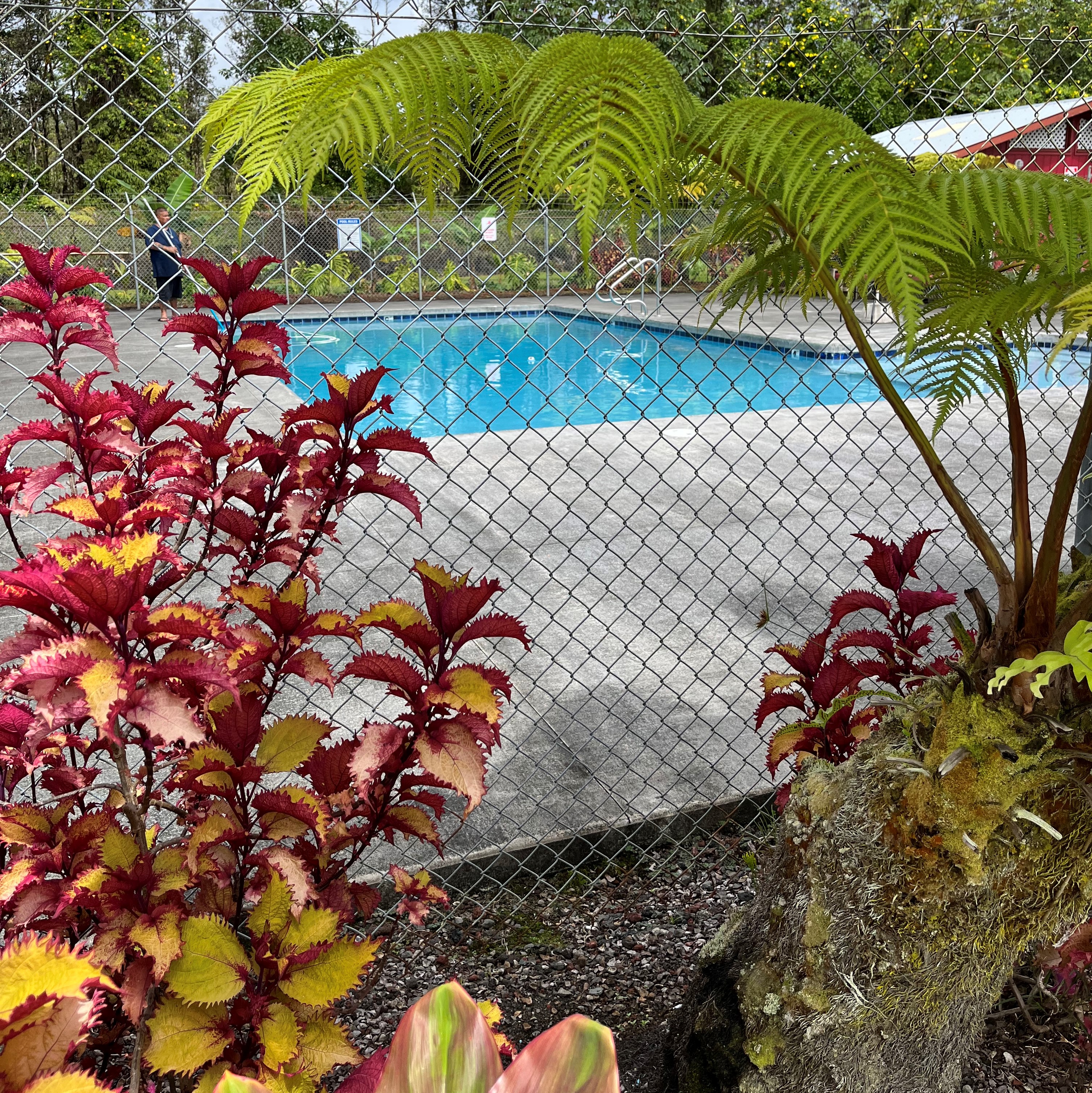 711 Hilo Road Pahoa, HI 96778 - Photo 4 of 5