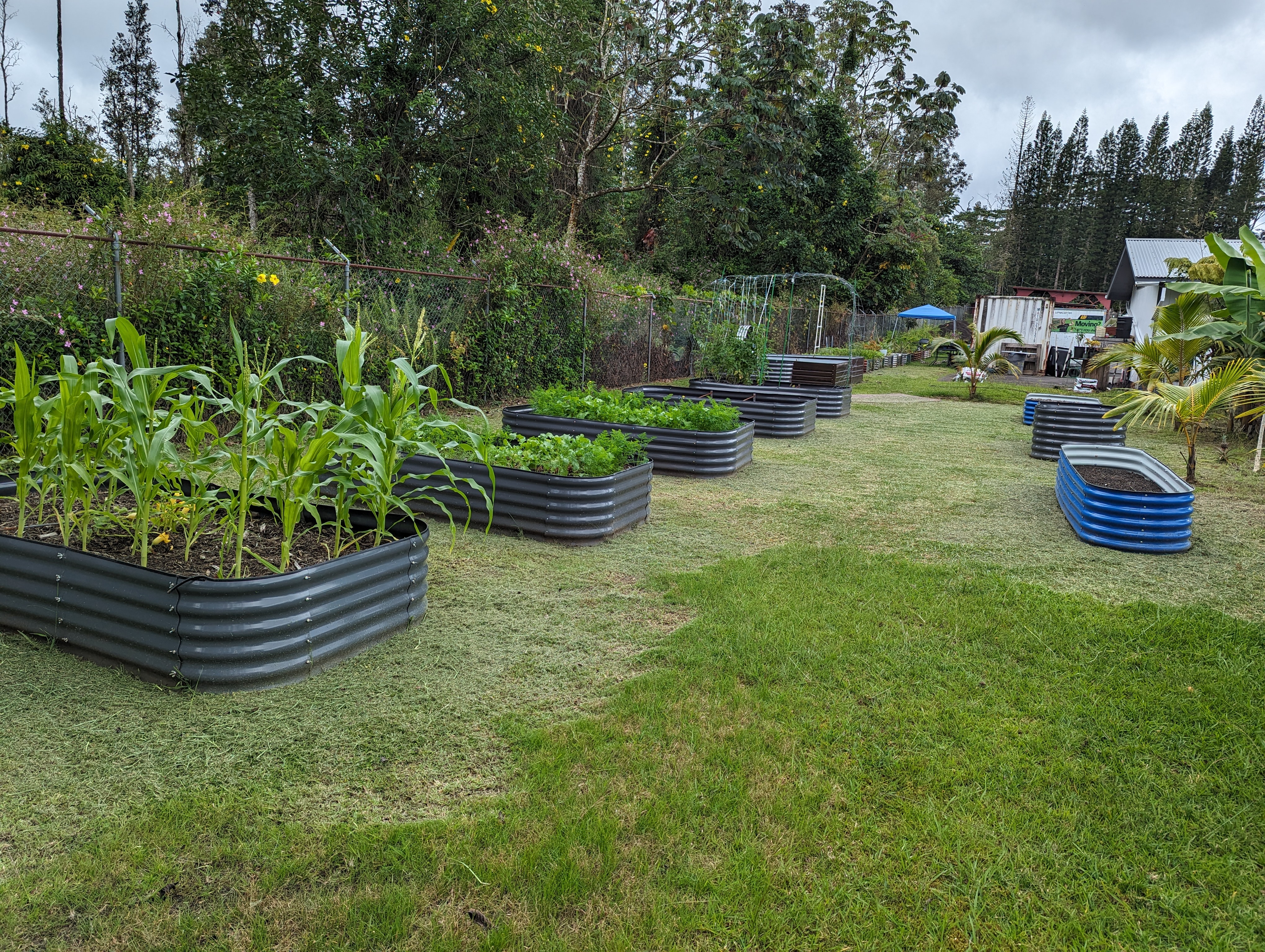 711 Hilo Road Pahoa, HI 96778 - Photo 5 of 5