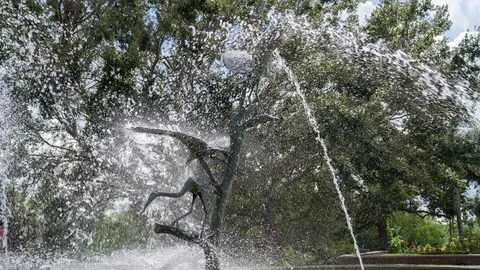 $565,000 | 735 2nd Street North, Safety Harbor, FL 34695