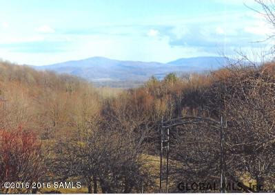 408 Little Burch Hill Road Hebron, NY 12832 - Photo 17 of 84 Photo 17