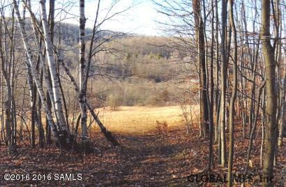 408 Little Burch Hill Road Hebron, NY 12832 - Photo 30 of 84 Photo 30