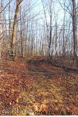 408 Little Burch Hill Road Hebron, NY 12832 - Photo 32 of 84 Photo 33