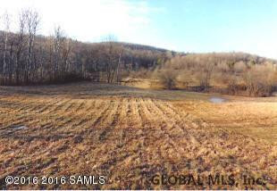 408 Little Burch Hill Road Hebron, NY 12832 - Photo 34 of 84 Photo 35