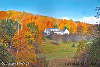 408 Little Burch Hill Road Hebron, NY 12832 - Photo 48 of 84 Photo 49