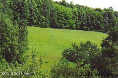 408 Little Burch Hill Road Hebron, NY 12832 - Photo 61 of 84 Photo 62
