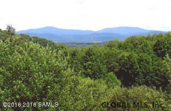 408 Little Burch Hill Road Hebron, NY 12832 - Photo 70 of 84 Photo 71
