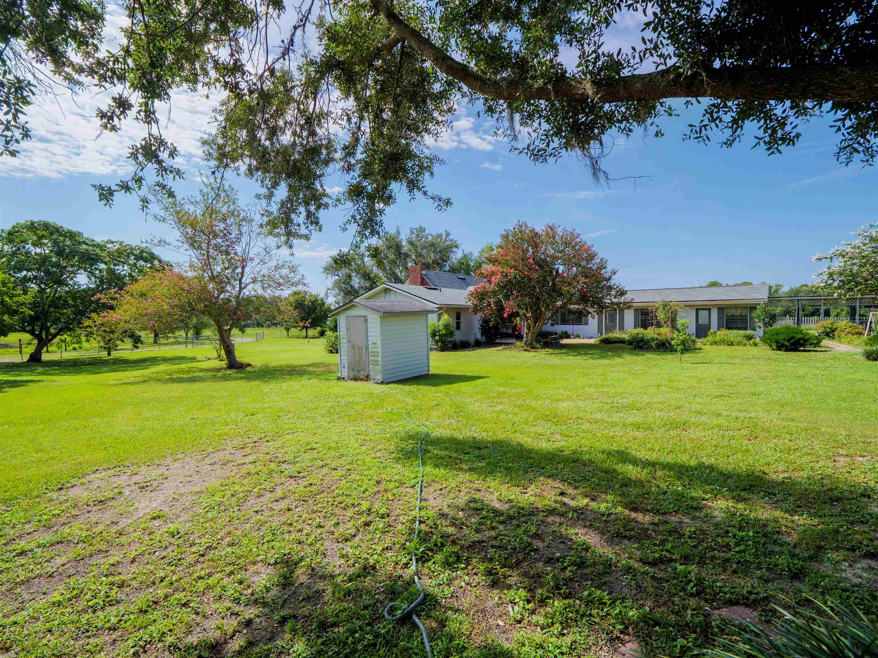 916 County Road 360 Madison, FL 32340 - Photo 9 of 65