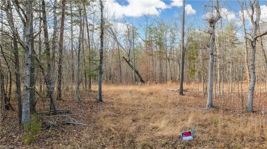 0 West Cooper Road Staley, NC 27355 - Photo 23 of 26