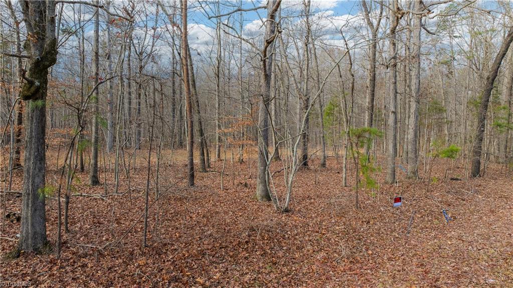 0 West Cooper Road Staley, NC 27355 - Photo 26 of 26