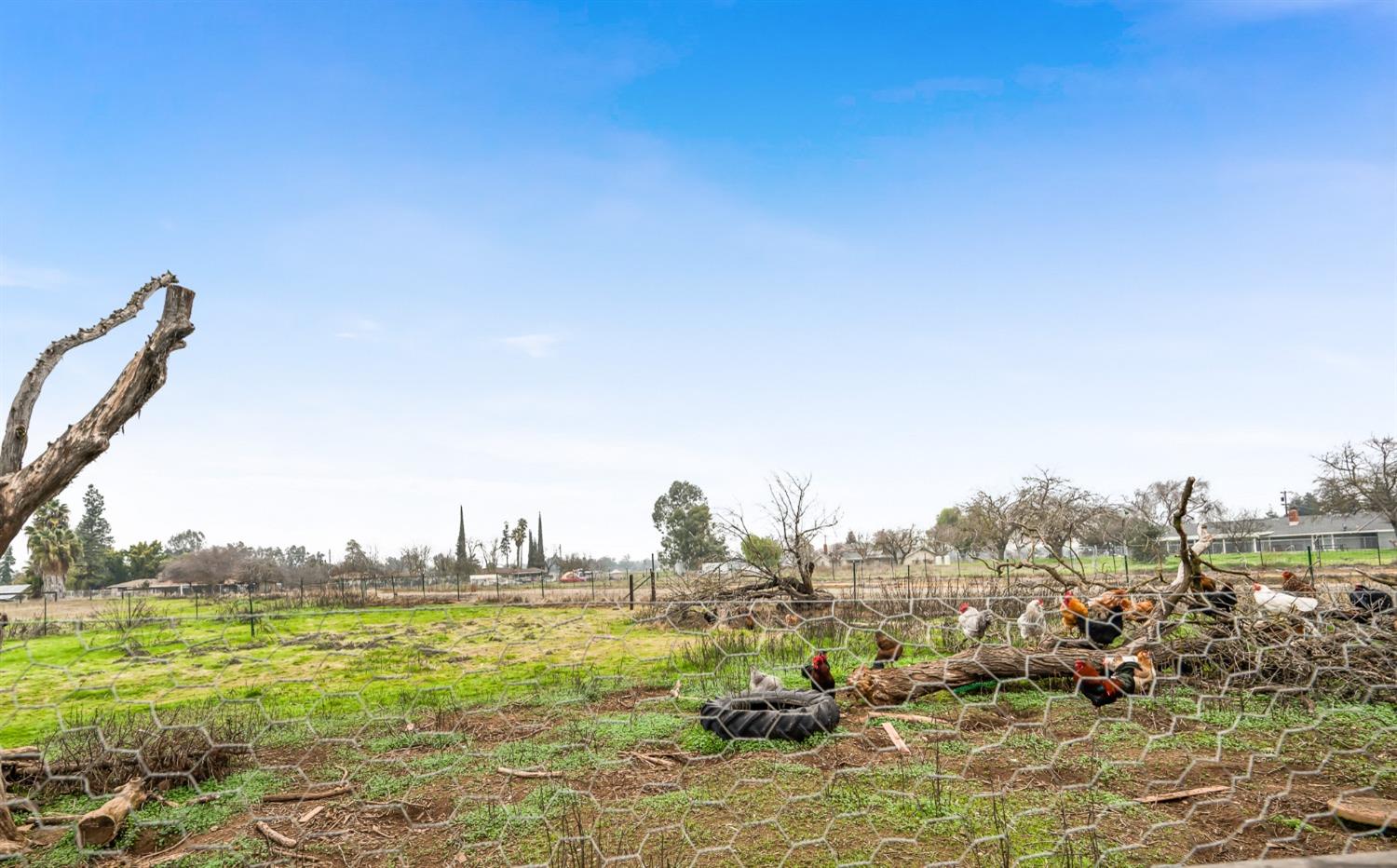 6789 North De Wolf Avenue Clovis, CA 93619 - Photo 51 of 54